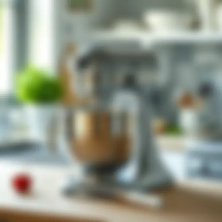 Care and maintenance tips for stand mixers illustrated neatly