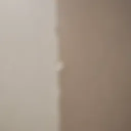 Close-up comparison of matte and eggshell paint finishes on a wall.
