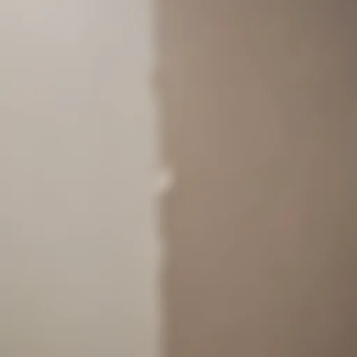 Close-up comparison of matte and eggshell paint finishes on a wall.