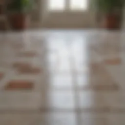 Close-up of a sparkling clean tile floor