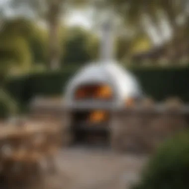 Well-Maintained Ooni Pizza Oven A well-maintained Ooni pizza oven ready for use.