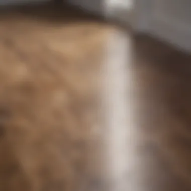 Laminate Flooring in Moist Environments Durable and moisture-resistant laminate flooring selection