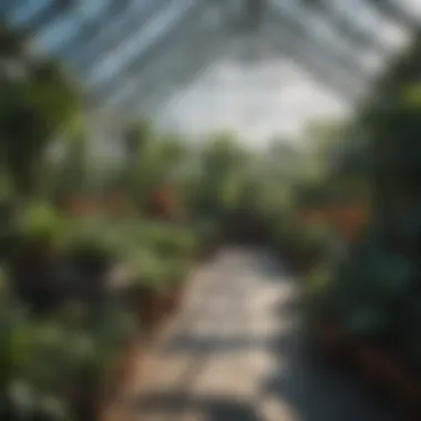 A greenhouse filled with lush greenery showcasing various plants thriving in optimal conditions.