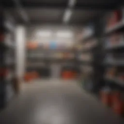 Well-organized garage with shelving and storage bins