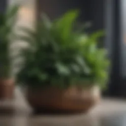 Lush greenery in a large planter showcasing various plant species