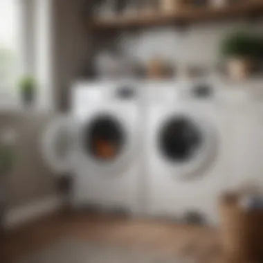 Efficient Storage Solutions with Over the Washer Organizer A well-structured over the washer organizer offering efficient storage