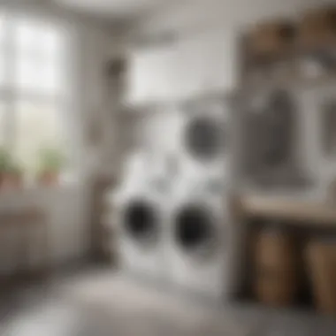 Stylish Laundry Space Featuring an Organizer Stylish laundry room with an over the washer organizer in use