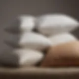 A detailed comparison of different pillow types showcasing their impact on neck alignment.