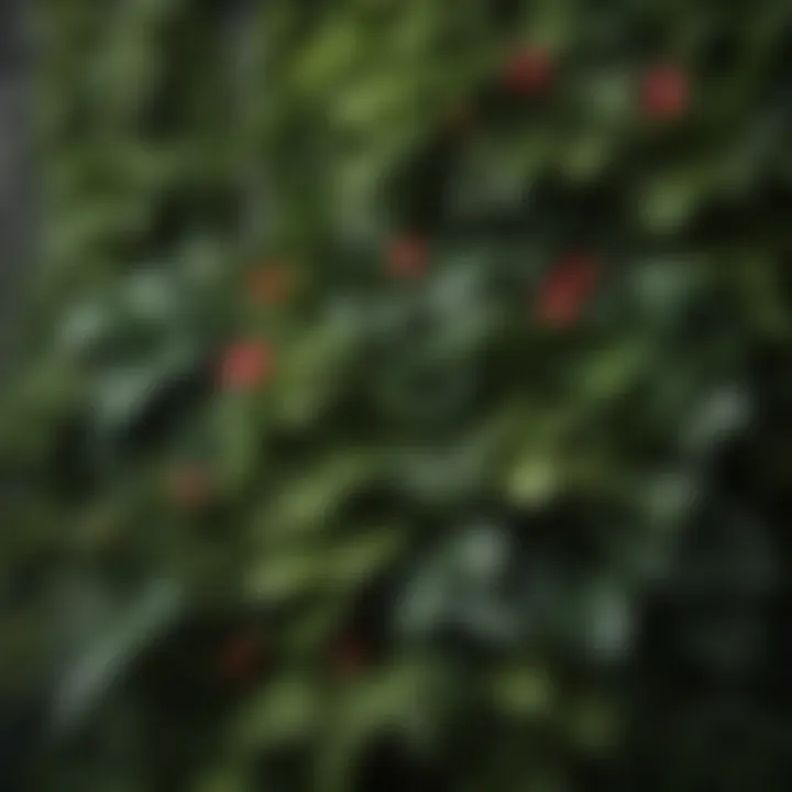 Close-up of various plants thriving in a wall installation