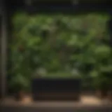 Lush green plant wall showcasing diverse species