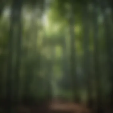 Diverse Bamboo Species in a Thriving Environment A lush bamboo grove showcasing various species and growth patterns
