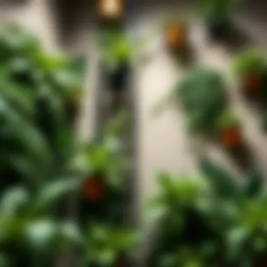 Notable Plants Growing on Walls: An Exploration of Vertical Greenery