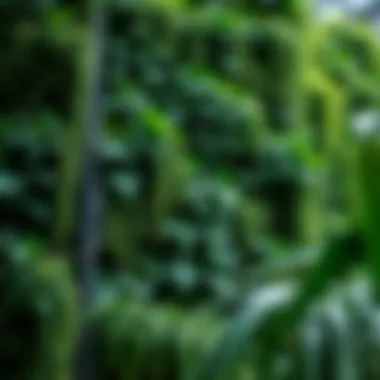 Plants Growing on Walls: An Exploration of Vertical Greenery Summary