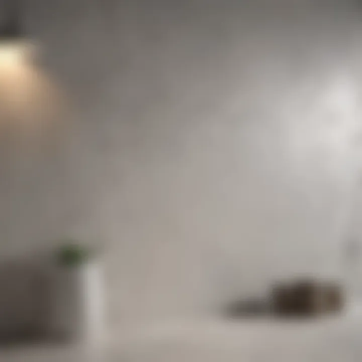 Primed wall surface