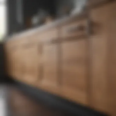 Modern Kitchen Cabinet Doors Elegant kitchen cabinet doors showcasing a modern design