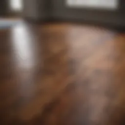 Refinished hardwood floor showcasing a rich, polished appearance