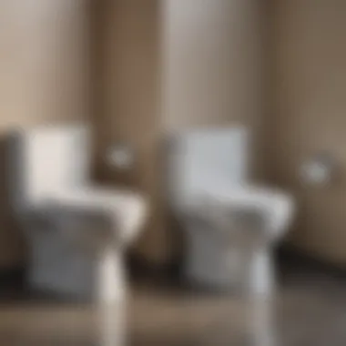 Comparison of Toilet Bowl Stain Removal Before and after comparison of a toilet bowl after stain removal