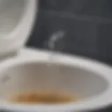 Close-up view of hard water stains in a toilet bowl