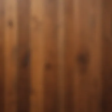 Various types of wood stains arranged aesthetically
