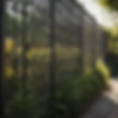Lattice Fence for Enhanced Privacy Modern lattice fence providing privacy and style