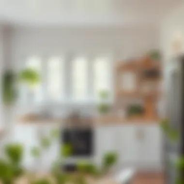 Stand Alone Kitchen Storage Solutions: Maximizing Space and Functionality Introduction Stand Alone Kitchen Storage Solutions: Maximizing Space and Functionality Introduction