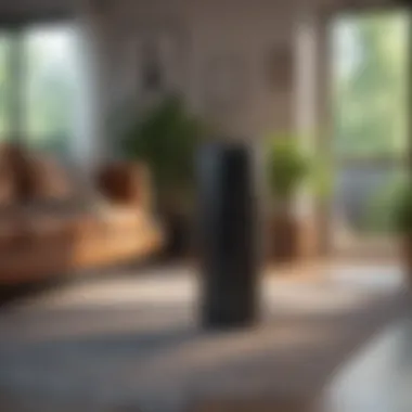 Air purifier in a living room