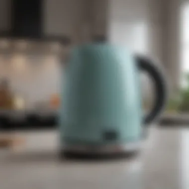 User-friendly interface of a modern electric kettle