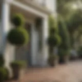 Elegant tall topiary trees framing a front porch