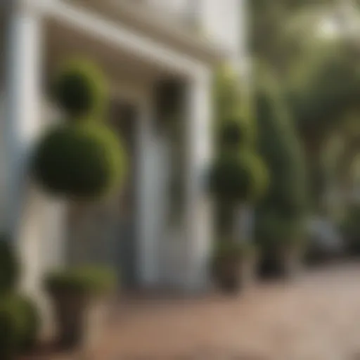 Elegant tall topiary trees framing a front porch