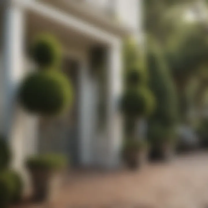 Elegant tall topiary trees framing a front porch