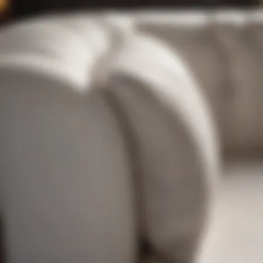 Luxurious Fabric Options for White Sofas Close-up of luxurious fabric options for white sofas