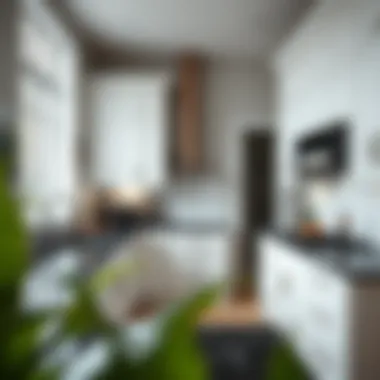 Contemporary Aesthetics in Culinary Spaces Modern kitchen showcasing white cabinetry and black marble surfaces