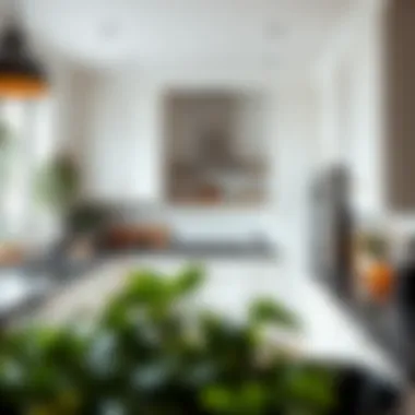 Striking Visual Balance in Kitchen Decor Stylish kitchen with white walls and deep-toned countertops