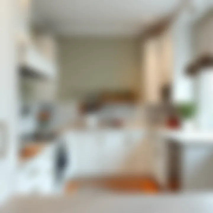 The Best Colors for a Kitchen with White Cabinets Summary