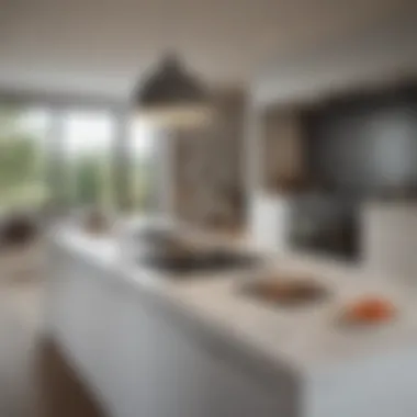 A beautifully arranged kitchen featuring an extra large countertop oven