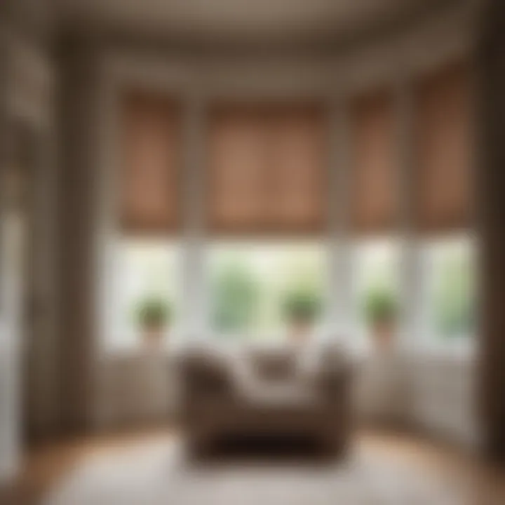 Elegant roman blinds enhancing a bay window's aesthetic