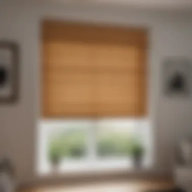 Installation Guide for Roman Blinds Step-by-step installation guide for roman blinds in unique window shapes
