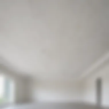 Diverse Types of White Ceiling Paint A selection of various white ceiling paint types.