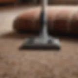 Powerful carpet vacuum cleaning deep fibers