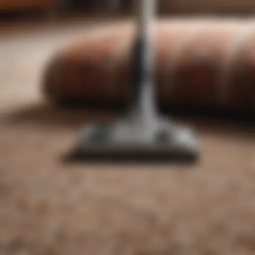 Powerful carpet vacuum cleaning deep fibers