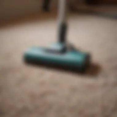 Different Types of Carpet Vacuums Displayed Different types of carpet vacuums displayed