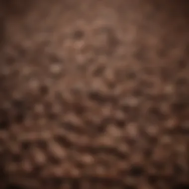 Exploring Coffee Bean Roast Levels A close-up of various coffee beans showcasing different roast levels