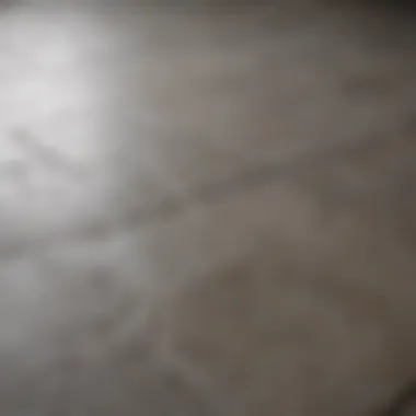 Transformation of Grout Before and after comparison of grout cleaning