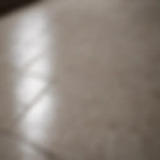 Close-up view of clean grout lines between floor tiles