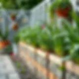 The Role of Plant Border Supports in Enhancing Garden Aesthetics Introduction
