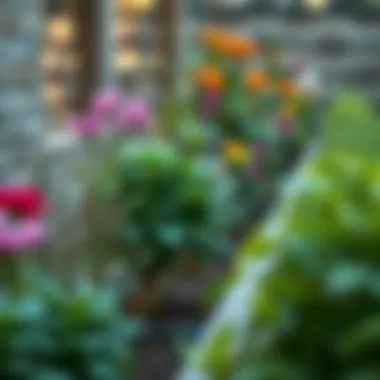 The Role of Plant Border Supports in Enhancing Garden Aesthetics Summary The Role of Plant Border Supports in Enhancing Garden Aesthetics Summary