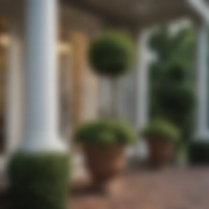 Stunning arrangement of topiary trees as focal points