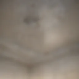 A close-up view of water stains on a ceiling, showcasing discoloration and texture changes.