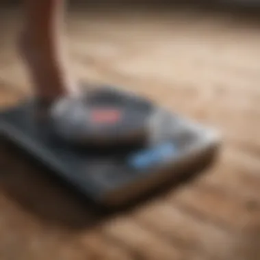 Maintenance Essentials for Carpet-Compatible Scales Maintenance tips for carpet scales