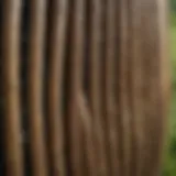 A close-up of lawn thatching rake teeth